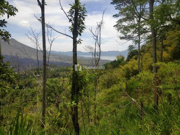 TANAH KINTAMANI - JL. UTAMA PENELOKAN (MAIN ROAD PENELOKAN) VIEW MOUNT BATUR, LAKE, CALDERA