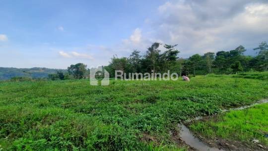 Investasi Properti Ideal: Tanah Strategis Taman Dayu di Pandaan