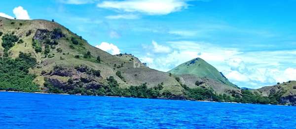 Jual tanah bukit langsung pantai di labuan bajo