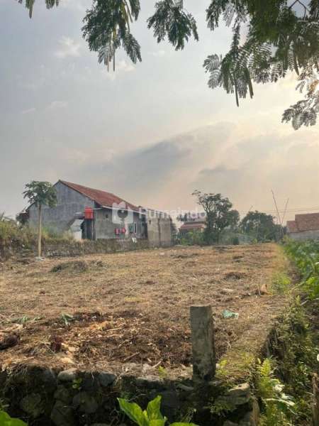 Tanah murah akses mobil di ciampea bogor