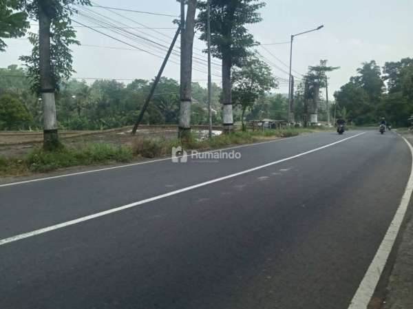 Tanah Sawah Luas Subur Strategis di Tepi Jalan Raya Kasembon Malang