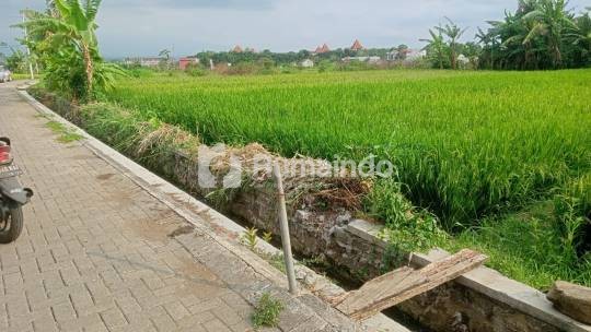 tanah subur dan luas  di Tanjungtirto Singosari