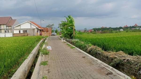 tanah subur dan luas  di Tanjungtirto Singosari