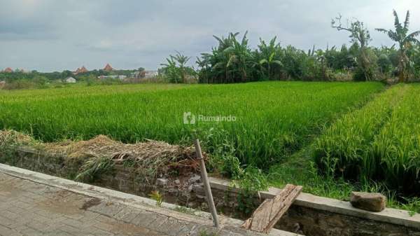 tanah subur dan luas  di Tanjungtirto Singosari