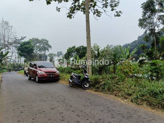 TANAH SAWAH SUBUR HARGA ISTIMEWA DI SINGOSARI KABUPATEN MALANG.