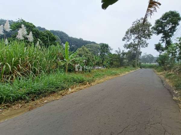 TANAH SAWAH SUBUR HARGA ISTIMEWA DI SINGOSARI KABUPATEN MALANG.