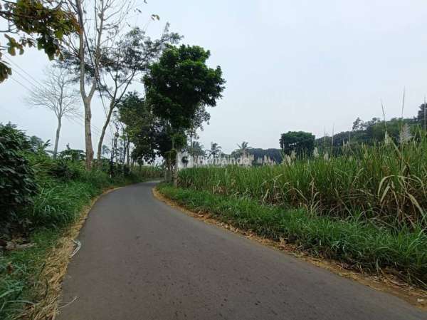 TANAH SAWAH SUBUR HARGA ISTIMEWA DI SINGOSARI KABUPATEN MALANG.