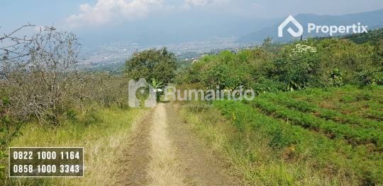 Tanah Kebun Harga Murah View Istimewa Batu