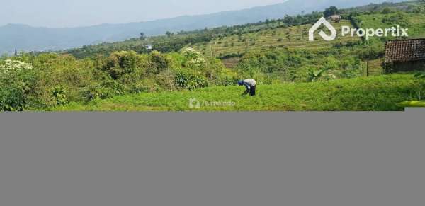 Tanah Kebun Harga Murah View Istimewa Batu