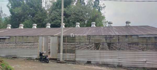 Greenhouse Besar Dan Luas Potensial Area Wisata Coban Rondo Malang