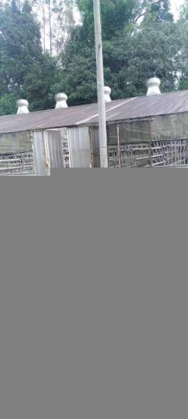 Greenhouse Besar Dan Luas Potensial Area Wisata Coban Rondo Malang