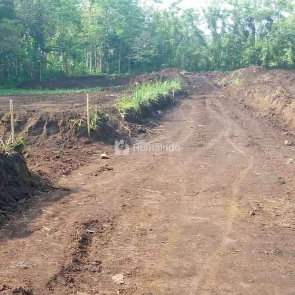 Tanah kavling siap bangun hanya 50 jutaan di pakis Malang