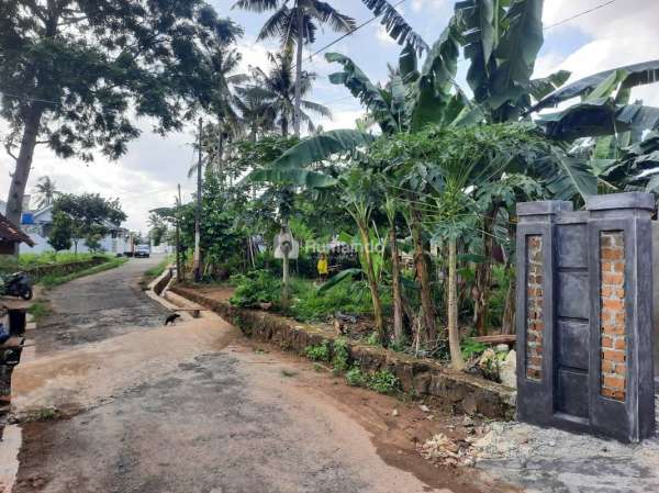 TANAH MURAH DI TANJUNG SENANG
