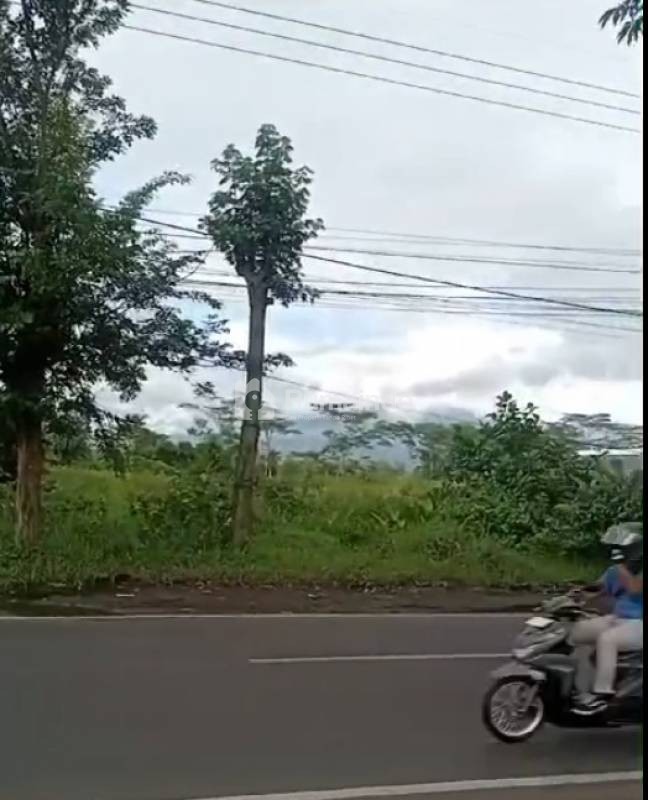 Tanah Poros Jalan Raya Murah Strategis di Area Bisnis Pakisaji Malang