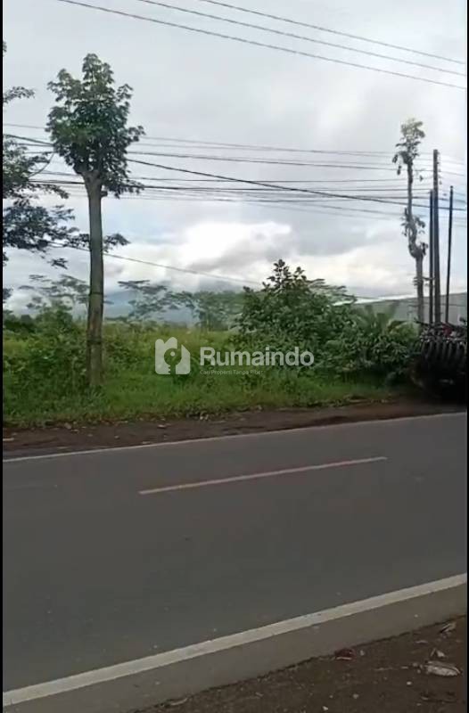 Tanah Poros Jalan Raya Murah Strategis di Area Bisnis Pakisaji Malang