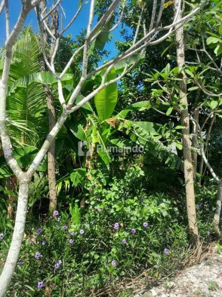Di Jual Tanah Murah Jimbaran - Bali