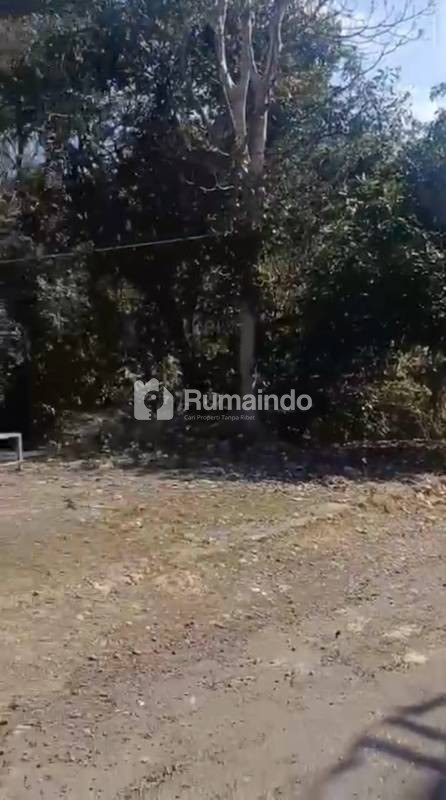 Tanah Murah Lingkungan Villa di Tundun Penyu Jimbaran