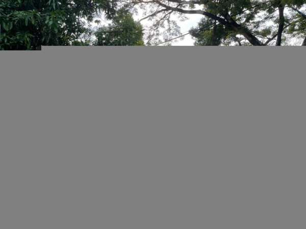 Dijual Tanah dan Bangunan Gudang di Ponorogo