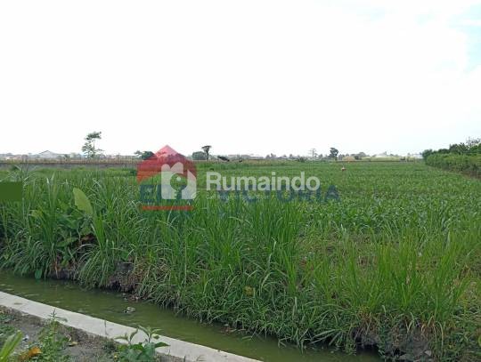 Dijual Tanah di Area Kampung Inggris Tulungrejo Pare
