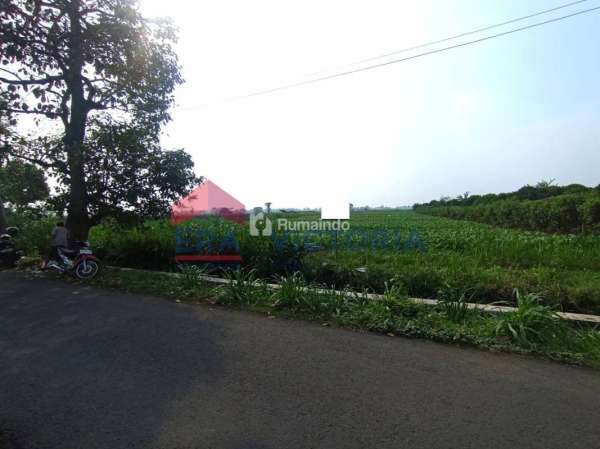 Dijual Tanah di Area Kampung Inggris Tulungrejo Pare