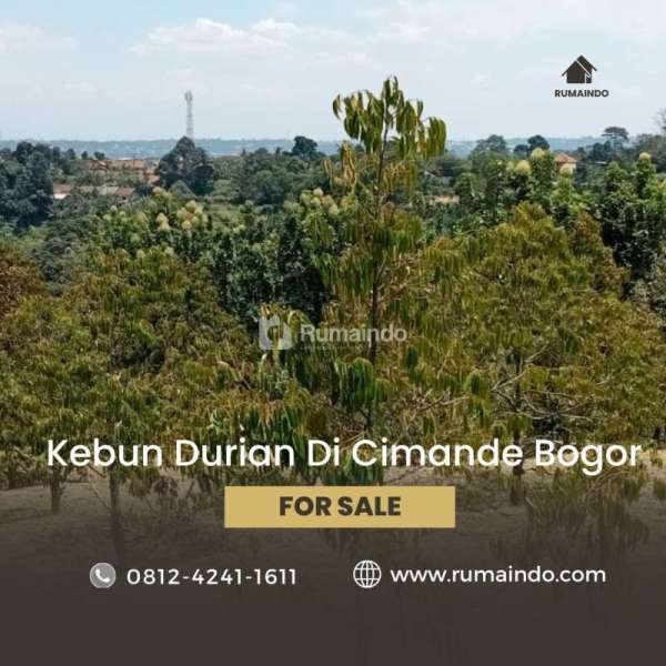Di Jual Tanah Kebun Durian Di Cimande Bogor