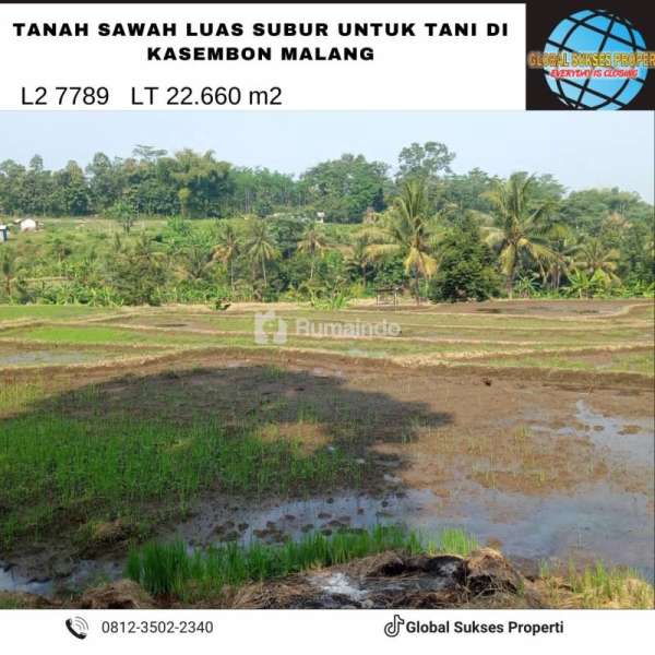 Tanah Sawah Luas Subur Strategis di Tepi Jalan Raya Kasembon Malang