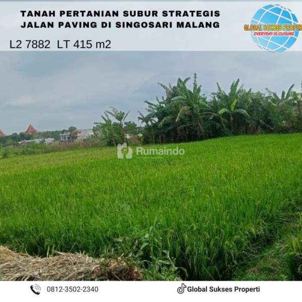 tanah subur dan luas  di Tanjungtirto Singosari