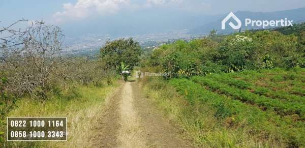 Tanah Kebun Harga Murah View Istimewa Batu